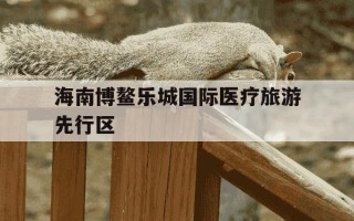 海南博鳌乐城国际医疗旅游先行区-海南博鳌乐城国际医疗旅游先行区管理局