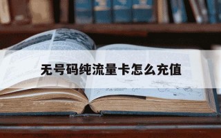 无号码纯流量卡怎么充值-无号码的流量卡