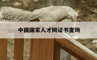 中国国家人才网证书查询-中国国家人才网证书有用吗
