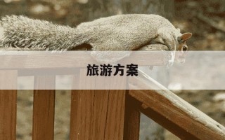 旅游方案-旅游方案策划书