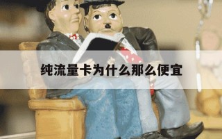 纯流量卡为什么那么便宜-流量卡为什么这么贵
