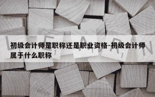 初级会计师是职称还是职业资格-初级会计师属于什么职称