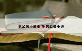 男公关小说王飞-男公关小说