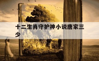 十二生肖守护神小说唐家三少-十二生肖守护神小说唐家三少下载