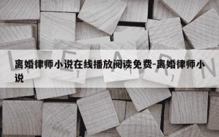 离婚律师小说在线播放阅读免费-离婚律师小说