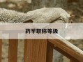 药学职称等级-药学职称等级排名