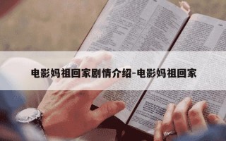 电影妈祖回家剧情介绍-电影妈祖回家