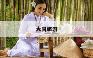 大同旅游-大同旅游收入