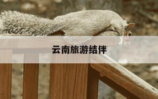 云南旅游结伴-云南结伴自由行