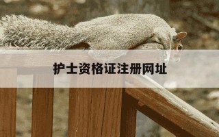 护士资格证注册网址-护士资格证注册登陆网址