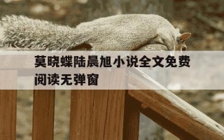 莫晓蝶陆晨旭小说全文免费阅读无弹窗-莫晓蝶陆晨旭小说961集全文免费阅读