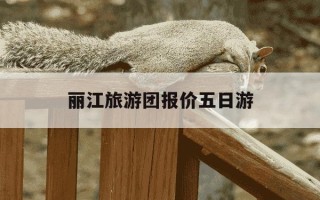 丽江旅游团报价五日游-丽江旅游五日游价钱