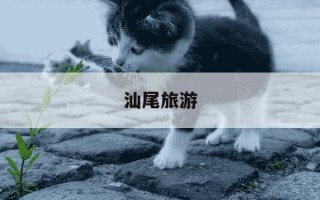 汕尾旅游-汕尾旅游住宿哪里最好