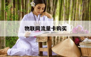 物联网流量卡购买-物联流量卡批发商城