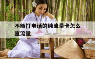 不能打电话的纯流量卡怎么查流量-不可以打电话的流量卡怎么查号码