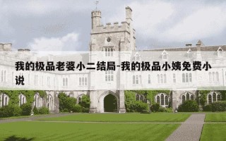 我的极品老婆小二结局-我的极品小姨免费小说