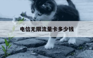 电信无限流量卡多少钱-电信无限流量卡可以用多久