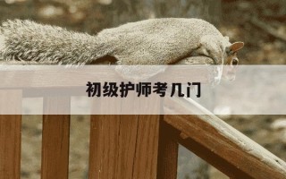 初级护师考几门-初级护师考几门?