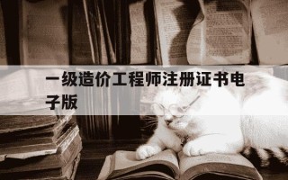 一级造价工程师注册证书电子版-一级造价工程师注册证书照片