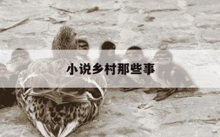 小说乡村那些事-乡村那些事小说全集