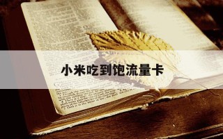 小米吃到饱流量卡-小米吃饱了流量卡怎么收费