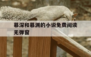 慕深和慕渊的小说免费阅读无弹窗-慕渊临童阮阮全文免费阅读