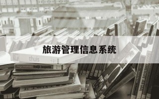 旅游管理信息系统-旅游管理信息系统的概念