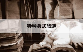 特种兵式旅游-特种兵式旅游定义