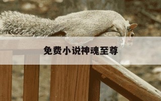 免费小说神魂至尊-小说神魂至尊最新章节免费阅读