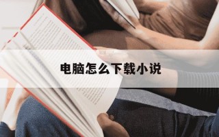 电脑怎么下载小说-电脑怎么下载小说而且不被发现文件
