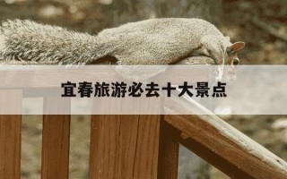 宜春旅游必去十大景点-宜春旅游必去十大景点 天柱峰国家森林公园