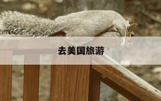 去美国旅游-去美国旅游签证怎么办理