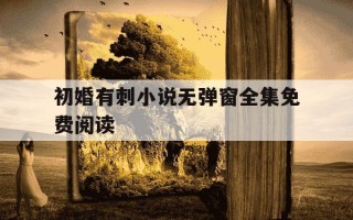 初婚有刺小说无弹窗全集免费阅读-初婚有没有第二部