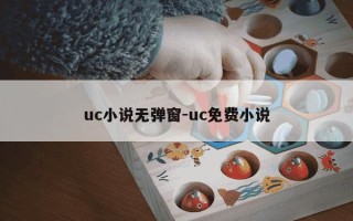 uc小说无弹窗-uc免费小说