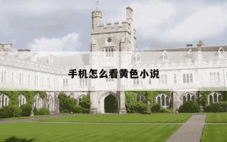 手机怎么看黄色小说