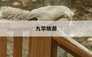 九华旅游-九华旅游目标价