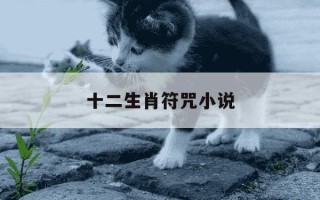 十二生肖符咒小说-十二生肖符咒小说起点在线阅读