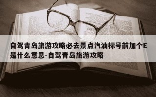自驾青岛旅游攻略必去景点汽油标号前加个E是什么意思-自驾青岛旅游攻略