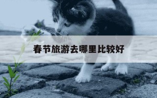 春节旅游去哪里比较好-春节期间旅游去哪里