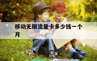 移动无限流量卡多少钱一个月-移动无限流量卡价格