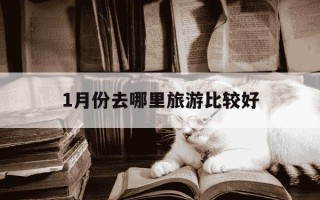 1月份去哪里旅游比较好-1月份去哪玩最好