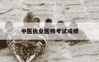 中医执业医师考试成绩-中医执业医师考试成绩查询