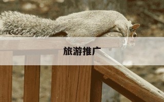 旅游推广-旅游推广营销方案