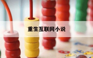 重生互联网小说-重生 互联网