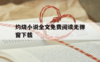 灼烧小说全文免费阅读无弹窗下载-灼烧 txt