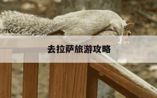 去拉萨旅游攻略-去拉萨旅游攻略自己玩不报团