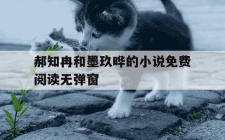 郝知冉和墨玖晔的小说免费阅读无弹窗-赫知冉墨玖晔小说免费无弹窗阅读笔趣阁
