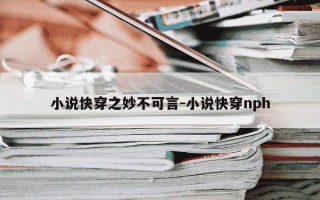 小说快穿之妙不可言-小说快穿nph