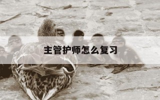 主管护师怎么复习-主管护师怎么备考
