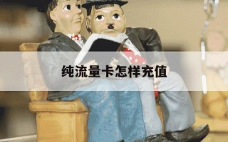 纯流量卡怎样充值-纯流量卡怎么交话费
